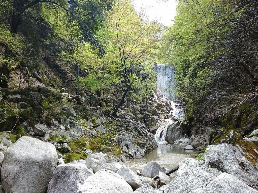 Irodori Koyo Otel Komono Dış mekan fotoğraf