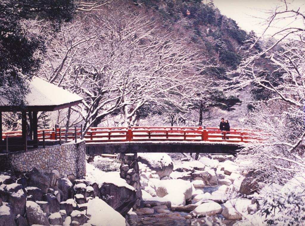 Irodori Koyo Otel Komono Dış mekan fotoğraf