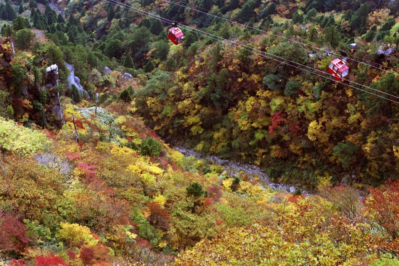Irodori Koyo Otel Komono Oda fotoğraf